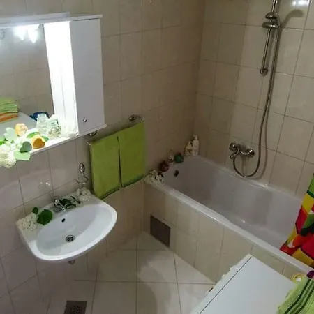 Dani トロギール